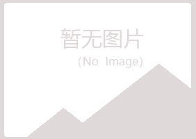 鹤岗小夏能源有限公司